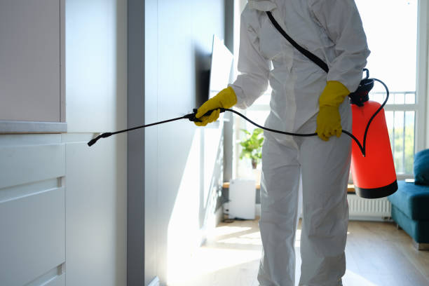 Trusted Westchester, IL Mold Removal Experts